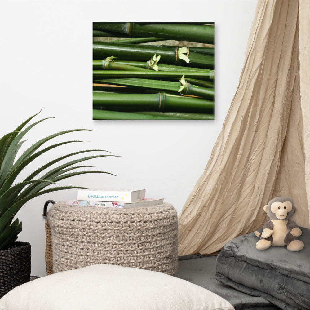 Grateful bamboo Canvas