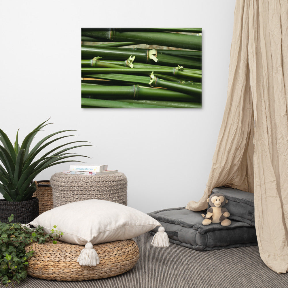 Grateful bamboo Canvas